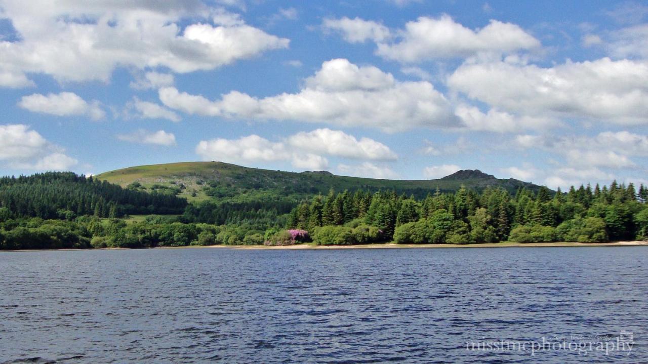 Dartmoor Reach Alpaca Farm Heated Cabins 5 Mins Drive To Dartmoor ボベイ・トレーシー エクステリア 写真