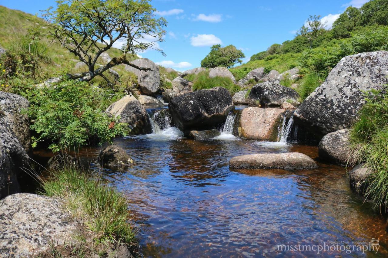 Dartmoor Reach Alpaca Farm Heated Cabins 5 Mins Drive To Dartmoor ボベイ・トレーシー エクステリア 写真