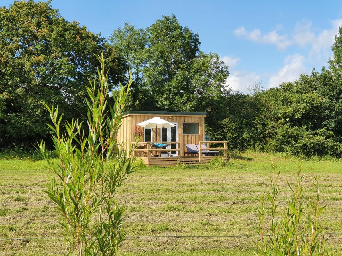 Dartmoor Reach Alpaca Farm Heated Cabins 5 Mins Drive To Dartmoor ボベイ・トレーシー エクステリア 写真