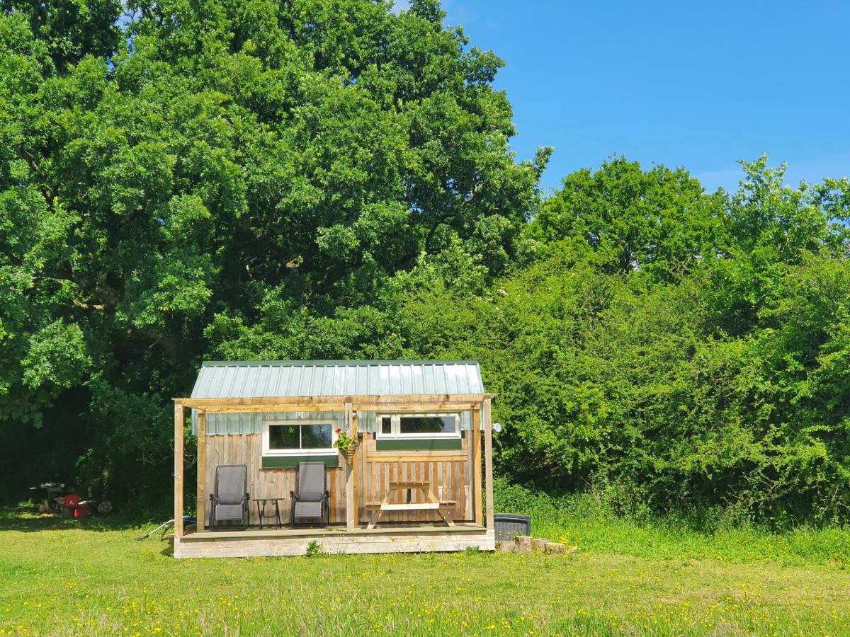 Dartmoor Reach Alpaca Farm Heated Cabins 5 Mins Drive To Dartmoor ボベイ・トレーシー エクステリア 写真