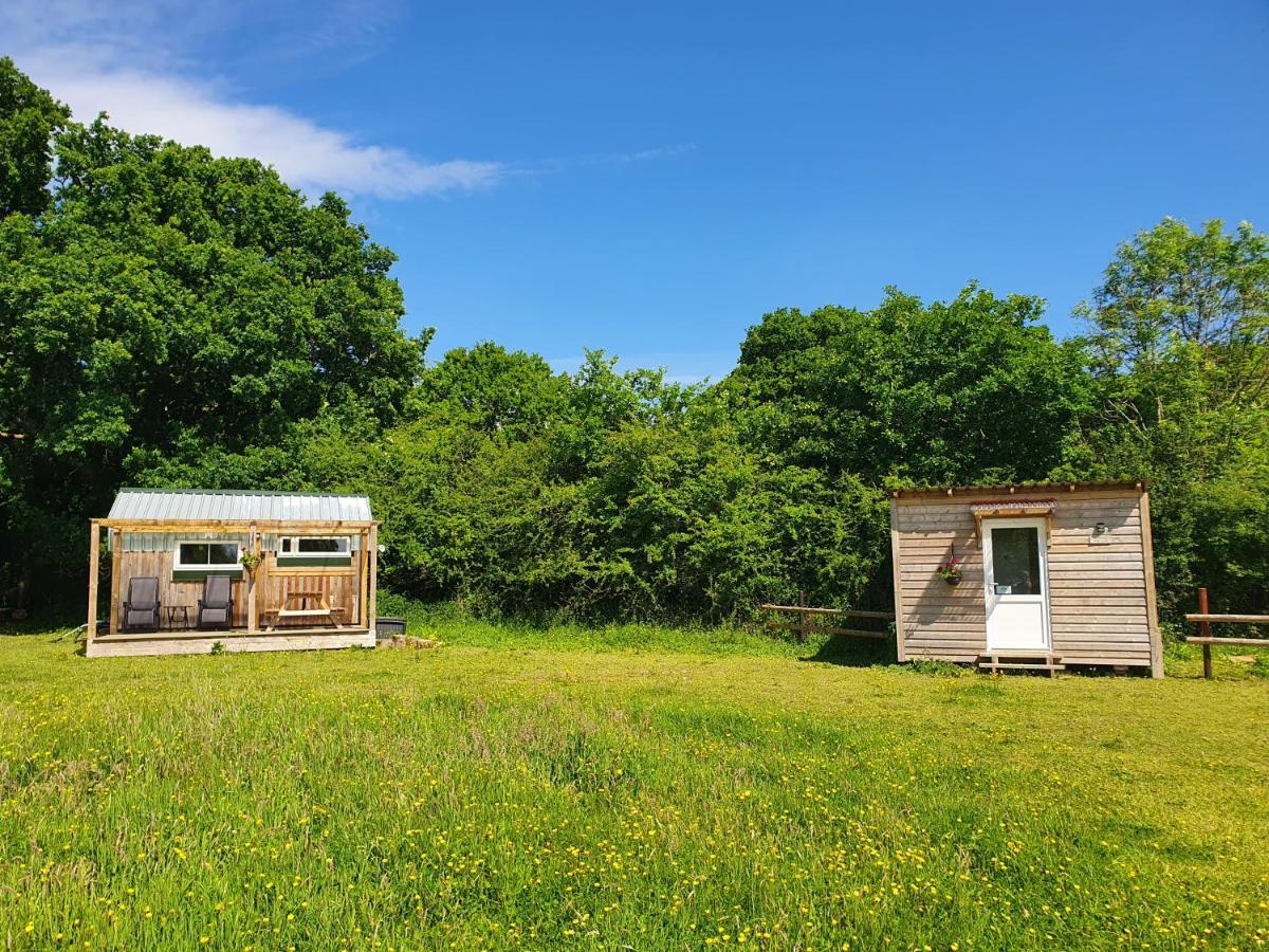 Dartmoor Reach Alpaca Farm Heated Cabins 5 Mins Drive To Dartmoor ボベイ・トレーシー エクステリア 写真