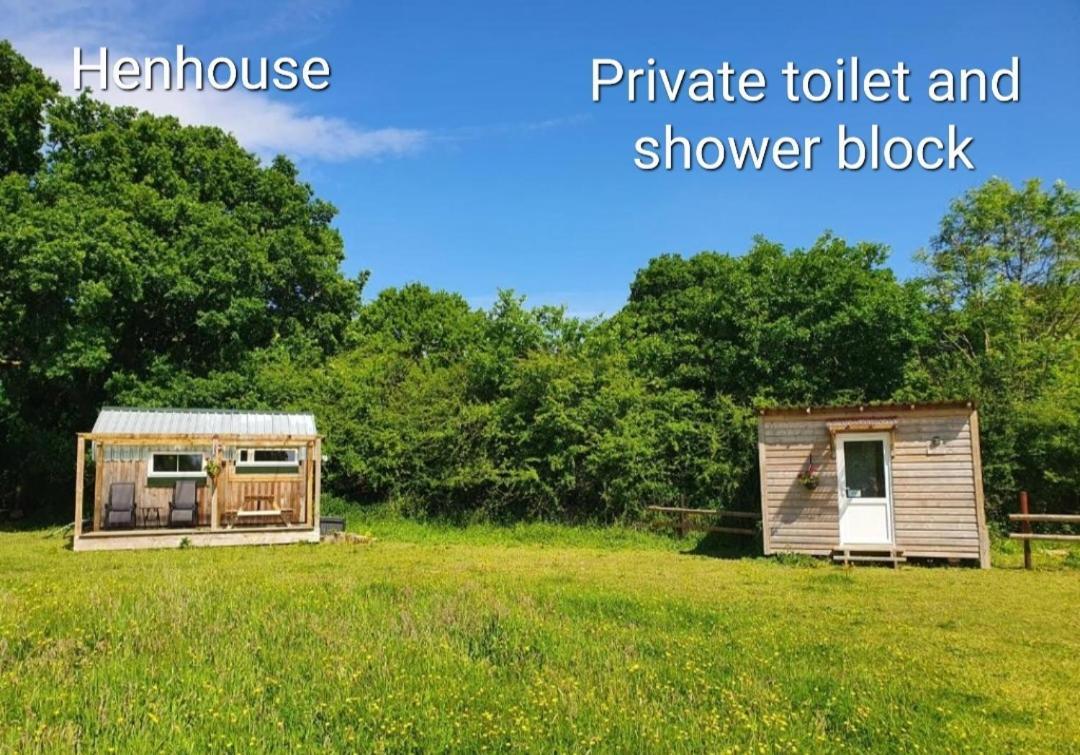 Dartmoor Reach Alpaca Farm Heated Cabins 5 Mins Drive To Dartmoor ボベイ・トレーシー 部屋 写真
