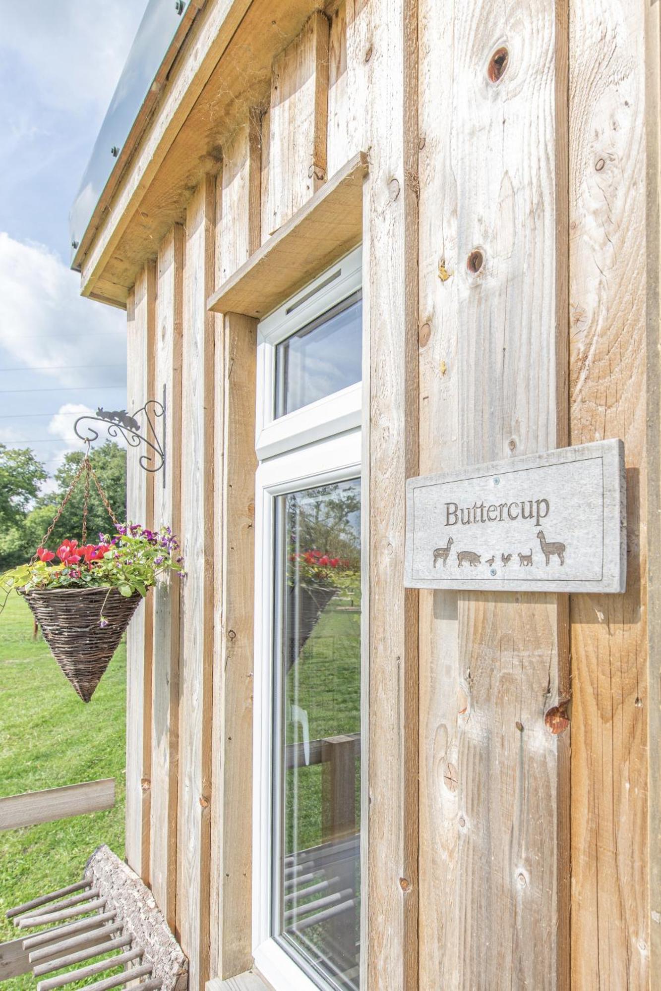 Dartmoor Reach Alpaca Farm Heated Cabins 5 Mins Drive To Dartmoor ボベイ・トレーシー 部屋 写真